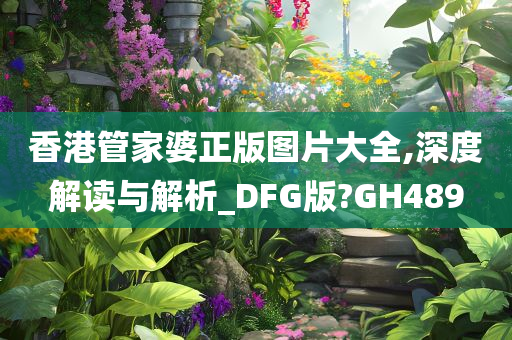 香港管家婆正版图片大全,深度解读与解析_DFG版?GH489