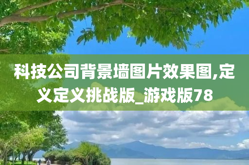 科技公司背景墙图片效果图,定义定义挑战版_游戏版78