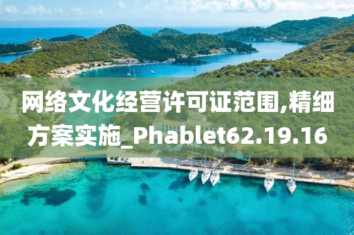 网络文化经营许可证范围,精细方案实施_Phablet62.19.16