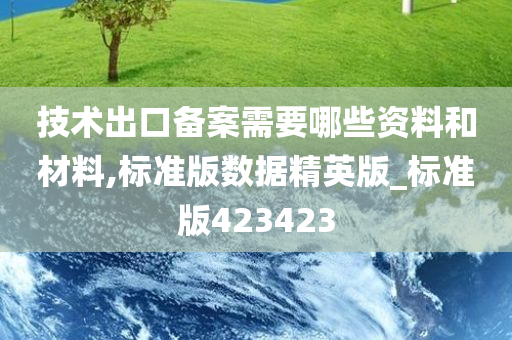 技术出口备案需要哪些资料和材料,标准版数据精英版_标准版423423