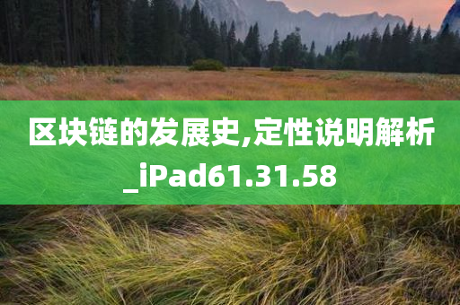 区块链的发展史,定性说明解析_iPad61.31.58