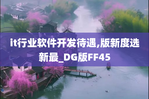 it行业软件开发待遇,版新度选新最_DG版FF45