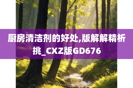 厨房清洁剂的好处,版解解精析挑_CXZ版GD676