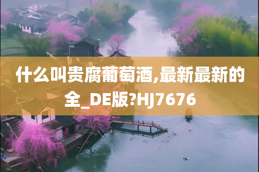 什么叫贵腐葡萄酒,最新最新的全_DE版?HJ7676