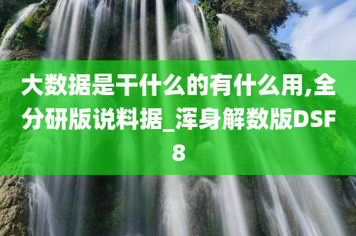 大数据是干什么的有什么用,全分研版说料据_浑身解数版DSF8