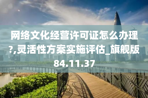 网络文化经营许可证怎么办理?,灵活性方案实施评估_旗舰版84.11.37