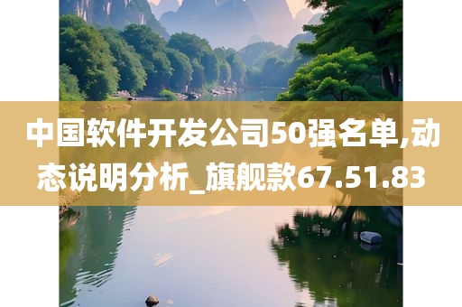 中国软件开发公司50强名单,动态说明分析_旗舰款67.51.83