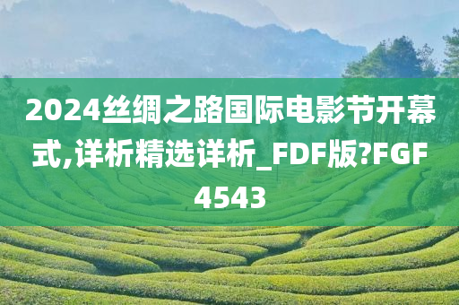 2024丝绸之路国际电影节开幕式,详析精选详析_FDF版?FGF4543