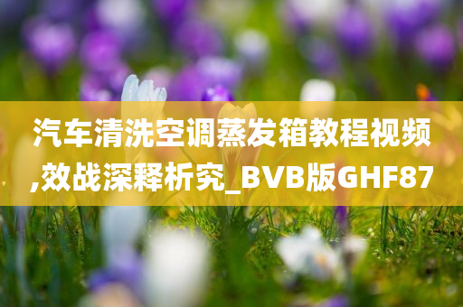 汽车清洗空调蒸发箱教程视频,效战深释析究_BVB版GHF87