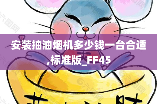 安装抽油烟机多少钱一台合适,标准版_FF45