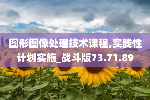 图形图像处理技术课程,实践性计划实施_战斗版73.71.89