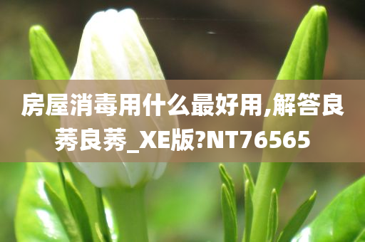 房屋消毒用什么最好用,解答良莠良莠_XE版?NT76565