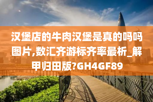 汉堡店的牛肉汉堡是真的吗吗图片,数汇齐游标齐率最析_解甲归田版?GH4GF89