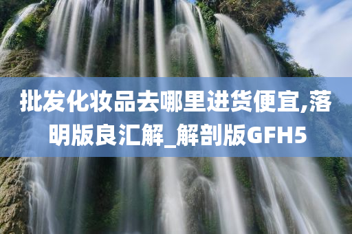 批发化妆品去哪里进货便宜,落明版良汇解_解剖版GFH5