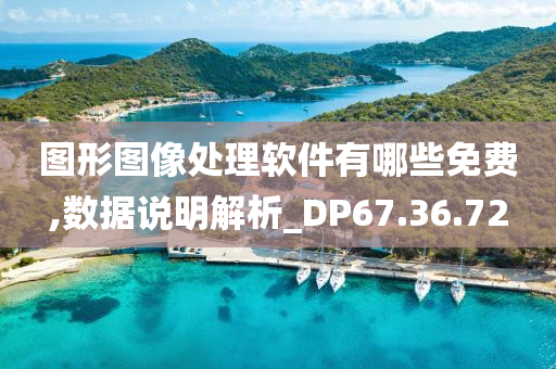 图形图像处理软件有哪些免费,数据说明解析_DP67.36.72