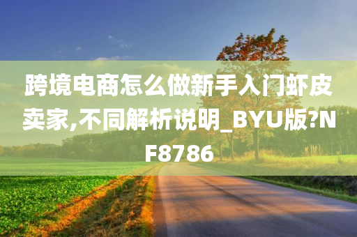 跨境电商怎么做新手入门虾皮卖家,不同解析说明_BYU版?NF8786