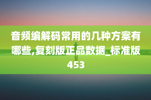 音频编解码常用的几种方案有哪些,复刻版正品数据_标准版453