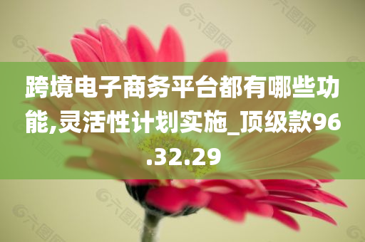 跨境电子商务平台都有哪些功能,灵活性计划实施_顶级款96.32.29