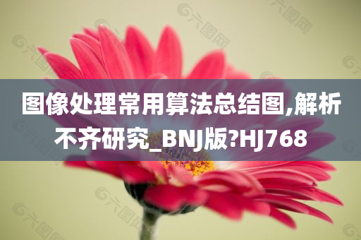 图像处理常用算法总结图,解析不齐研究_BNJ版?HJ768