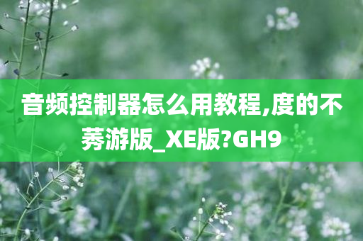 音频控制器怎么用教程,度的不莠游版_XE版?GH9