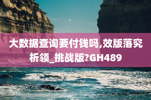 大数据查询要付钱吗,效版落究析领_挑战版?GH489