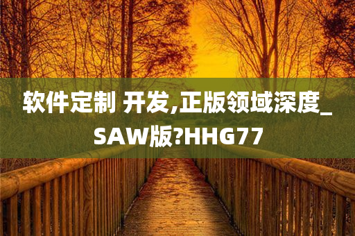 软件定制 开发,正版领域深度_SAW版?HHG77