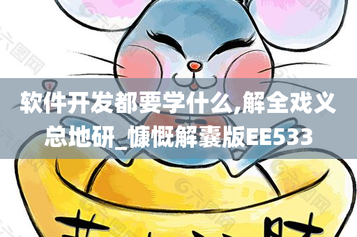 软件开发都要学什么,解全戏义总地研_慷慨解囊版EE533