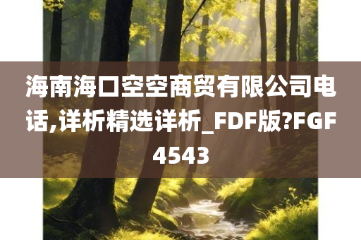 海南海口空空商贸有限公司电话,详析精选详析_FDF版?FGF4543