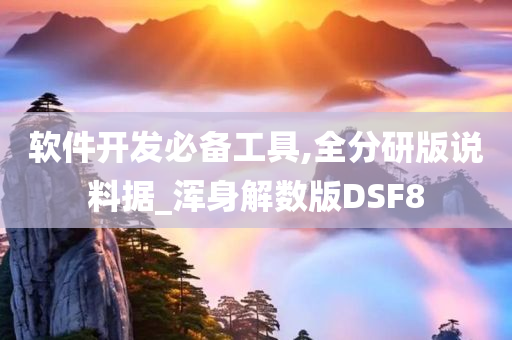 软件开发必备工具,全分研版说料据_浑身解数版DSF8