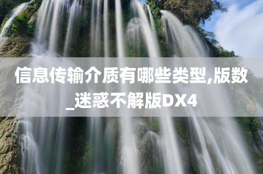 信息传输介质有哪些类型,版数_迷惑不解版DX4