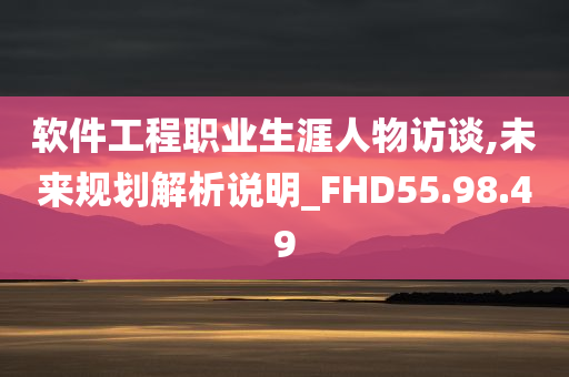 软件工程职业生涯人物访谈,未来规划解析说明_FHD55.98.49