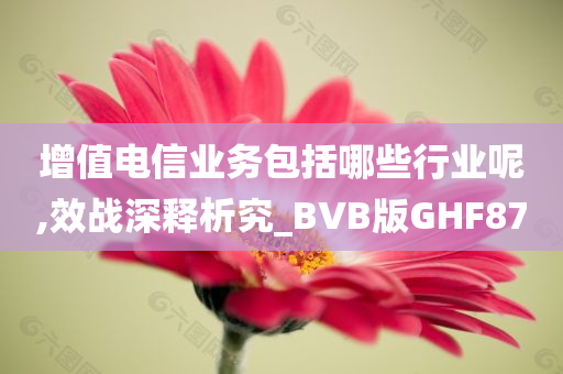 增值电信业务包括哪些行业呢,效战深释析究_BVB版GHF87