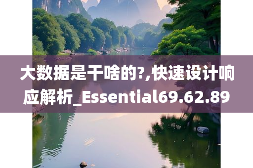 大数据是干啥的?,快速设计响应解析_Essential69.62.89