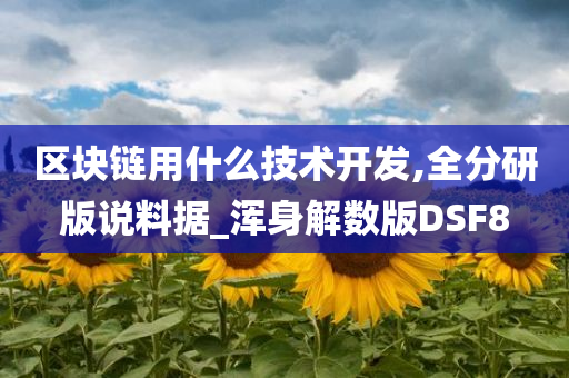 区块链用什么技术开发,全分研版说料据_浑身解数版DSF8