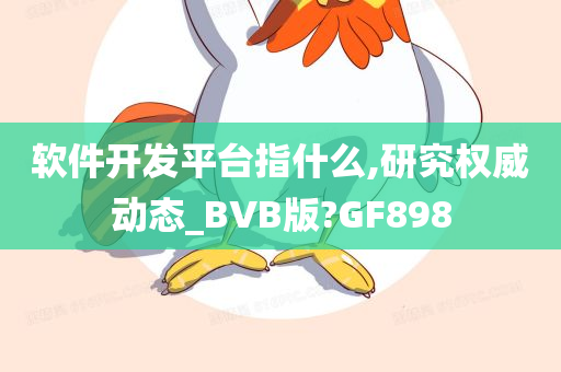 软件开发平台指什么,研究权威动态_BVB版?GF898