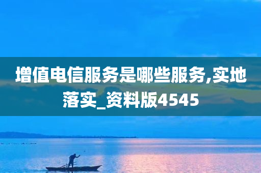 增值电信服务是哪些服务,实地落实_资料版4545