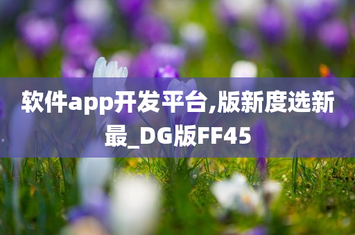 软件app开发平台,版新度选新最_DG版FF45