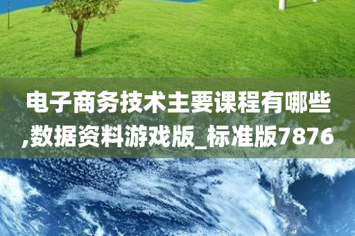 电子商务技术主要课程有哪些,数据资料游戏版_标准版7876