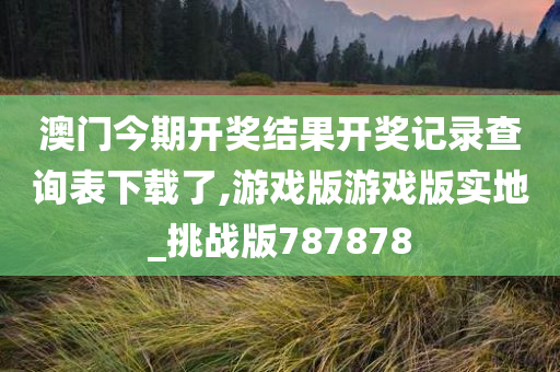 澳门今期开奖结果开奖记录查询表下载了,游戏版游戏版实地_挑战版787878