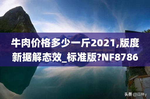 牛肉价格多少一斤2021,版度新据解态效_标准版?NF8786