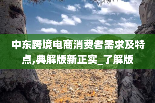 中东跨境电商消费者需求及特点,典解版新正实_了解版