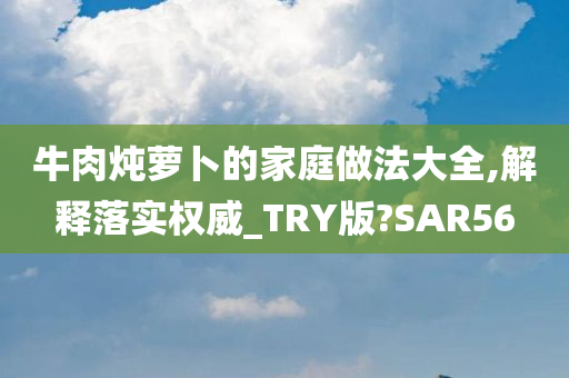 牛肉炖萝卜的家庭做法大全,解释落实权威_TRY版?SAR56