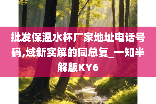 批发保温水杯厂家地址电话号码,域新实解的同总复_一知半解版KY6