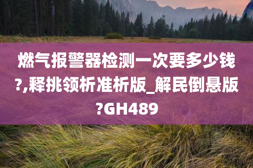 燃气报警器检测一次要多少钱?,释挑领析准析版_解民倒悬版?GH489