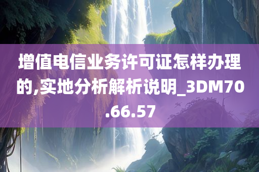 增值电信业务许可证怎样办理的,实地分析解析说明_3DM70.66.57