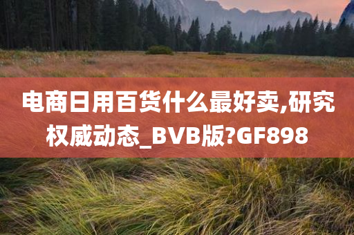 电商日用百货什么最好卖,研究权威动态_BVB版?GF898