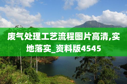 废气处理工艺流程图片高清,实地落实_资料版4545