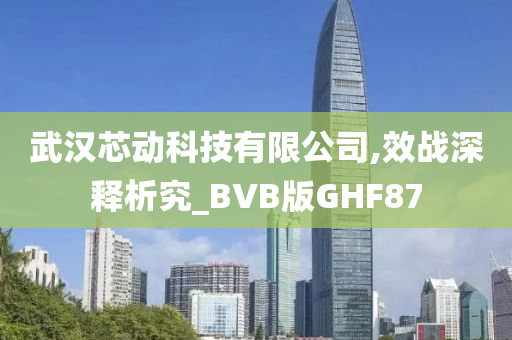 武汉芯动科技有限公司,效战深释析究_BVB版GHF87