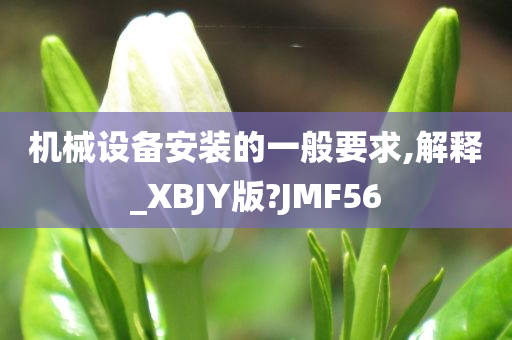 机械设备安装的一般要求,解释_XBJY版?JMF56