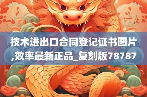 技术进出口合同登记证书图片,效率最新正品_复刻版78787